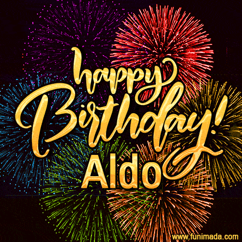 Happy Birthday, Aldo! Celebrate with joy, colorful fireworks, and unforgettable moments.