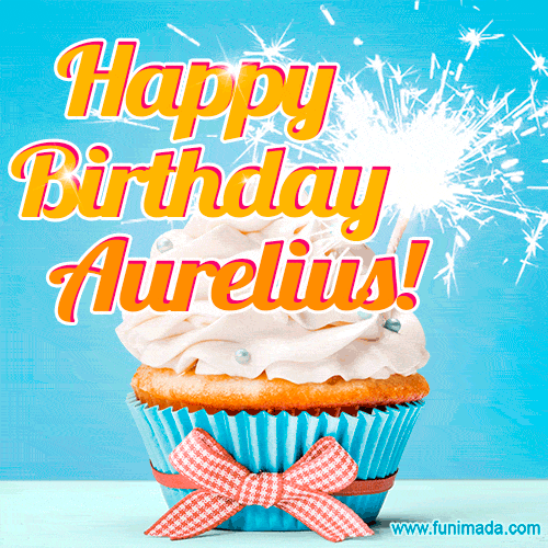Happy Birthday, Aurelius! Elegant cupcake with a sparkler.