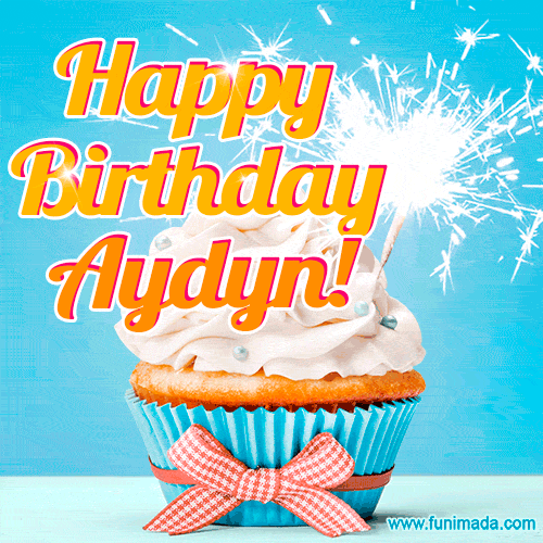 Happy Birthday, Aydyn! Elegant cupcake with a sparkler.
