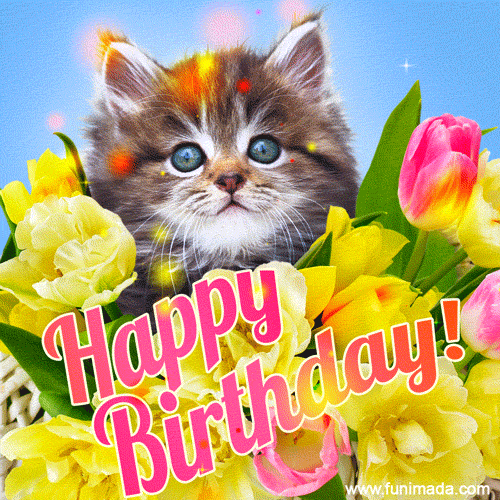 Happy birthday my dear! Cute cat birthday card.