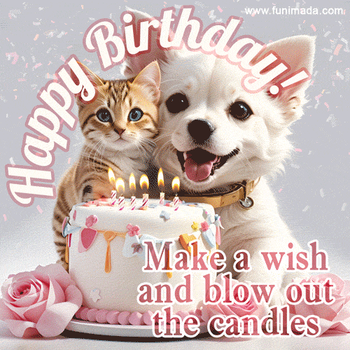 Make a wish and blow out the candles. Cute kitten and puppy with birthday cake.