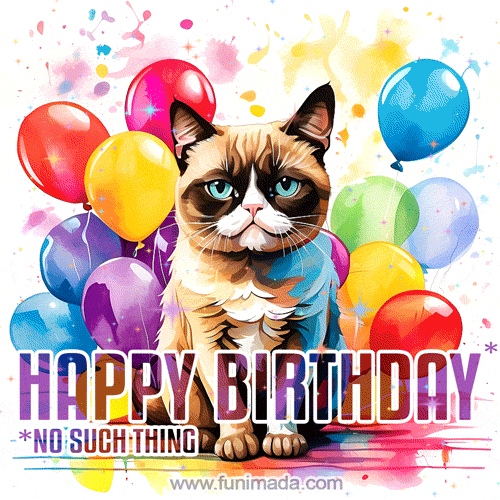 Grumpy Cat's birthday GIF: Colorful balloons and a humorous quote induce laughter