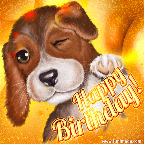Wishing you a happy birthday! Cutest puppy and gold glitter birthday animation.
