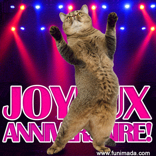 Danse drôle de chat de joyeux anniversaire