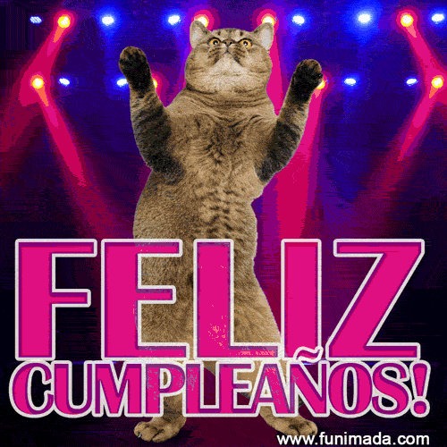  Gracioso Feliz Cumpleaños Gato Baile GIF — Descargar en Funimada.com