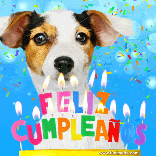 Perro gracioso y feliz cumpleaños Imagen GIF animada — Descargar en  