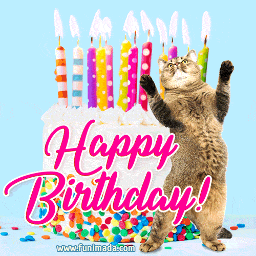 Festive birthday cake and a funny dancing cat GIF + short video with sound