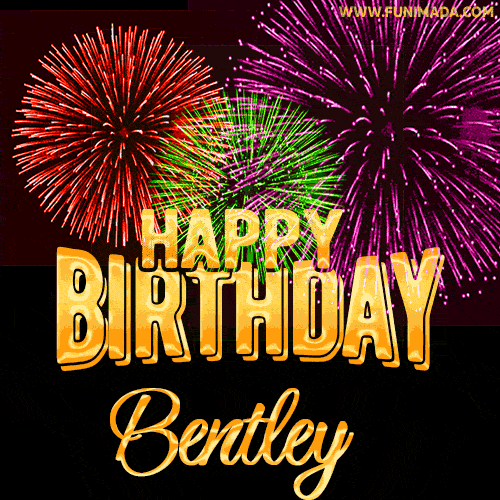 Wishing You A Happy Birthday, Bentley! Best fireworks GIF animated greeting card.