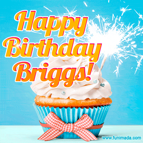 Happy Birthday, Briggs! Elegant cupcake with a sparkler.