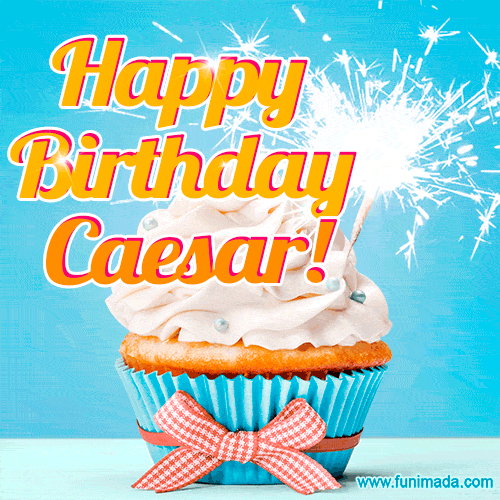 Happy Birthday, Caesar! Elegant cupcake with a sparkler.