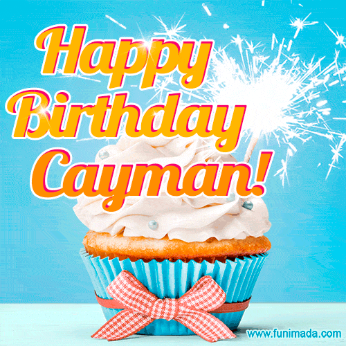 Happy Birthday, Cayman! Elegant cupcake with a sparkler.
