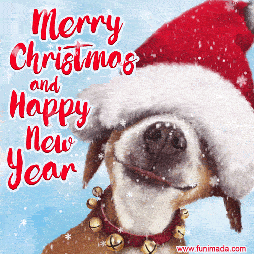Best Animated Snow Merry Christmas GIF with Cute Santa Dog - Download on  