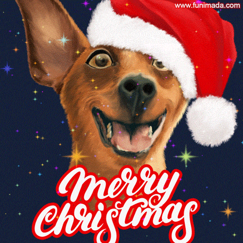 Funny Dog in Santa Hat Merry Christmas glittering GIF
