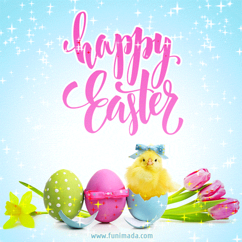 Pastel Color Easter GIF with Cute Chick, Eggs and Tulips