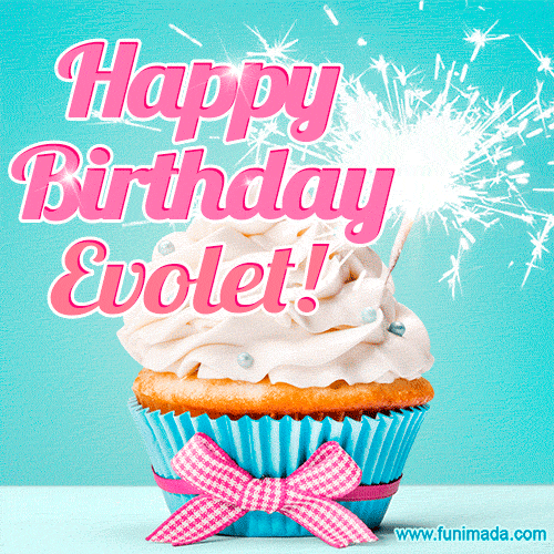 A festive cupcake with pink icing, a gingham bow, and a lit animated sparkler, paired with 'Happy Birthday Evolet!' in bright pink text.