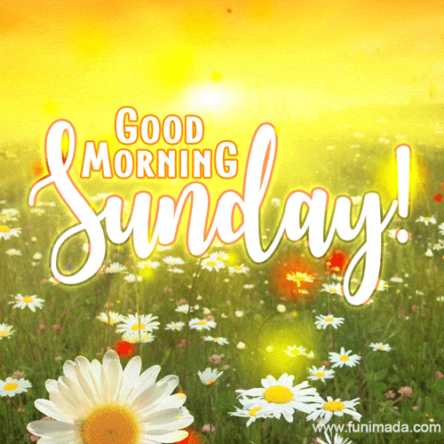 Good Morning Sunday GIF Bright And Cheerful Download On Funimada