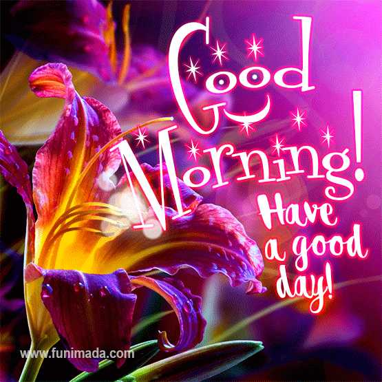 Beautiful Good Morning and Have a Good Day Gif animation