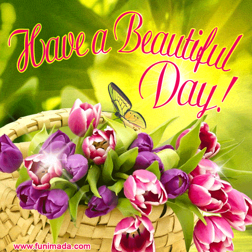 Have a Beautiful Day GIF - Download on Funimada.com