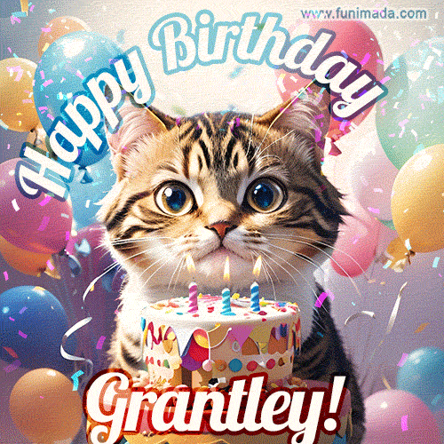 Happy birthday gif for Grantley with cat and cake