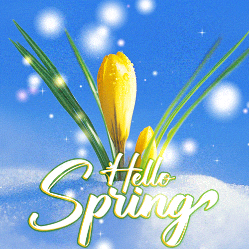 Hello Spring animated gif