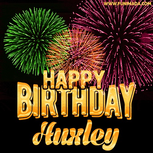Wishing You A Happy Birthday, Huxley! Best fireworks GIF animated greeting card.