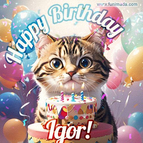 Happy birthday gif for Igor with cat and cake