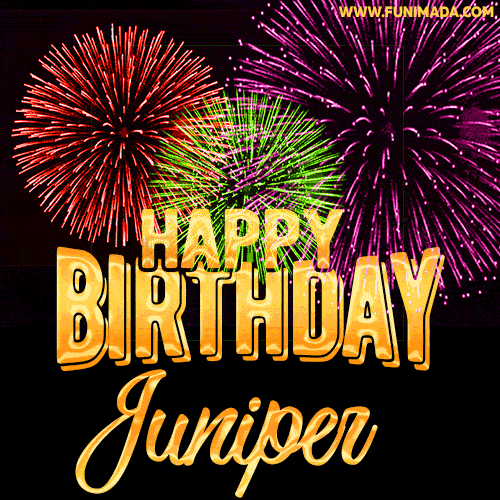Wishing You A Happy Birthday, Juniper! Best fireworks GIF animated greeting card.