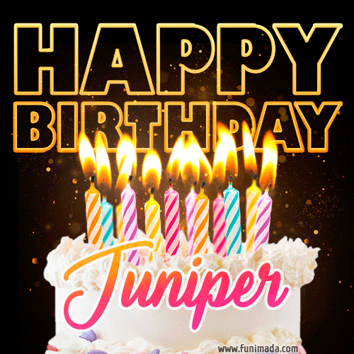 Juniper - Animated Happy Birthday Cake GIF Image for WhatsApp