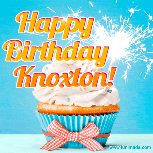Happy Birthday, Knoxton! Elegant cupcake with a sparkler.