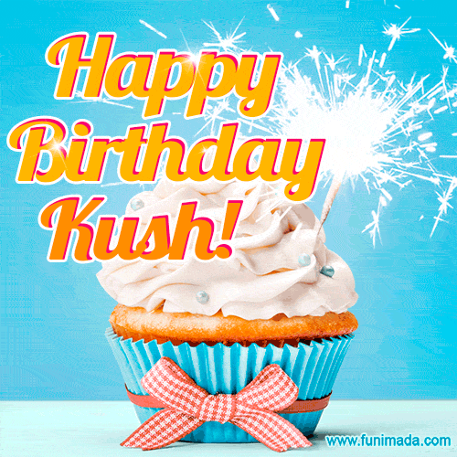 Happy Birthday, Kush! Elegant cupcake with a sparkler.