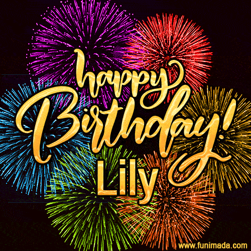 Happy Birthday, Lily! Celebrate with joy, colorful fireworks, and unforgettable moments. Cheers!