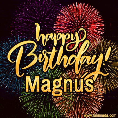 Happy Birthday, Magnus! Celebrate with joy, colorful fireworks, and unforgettable moments.