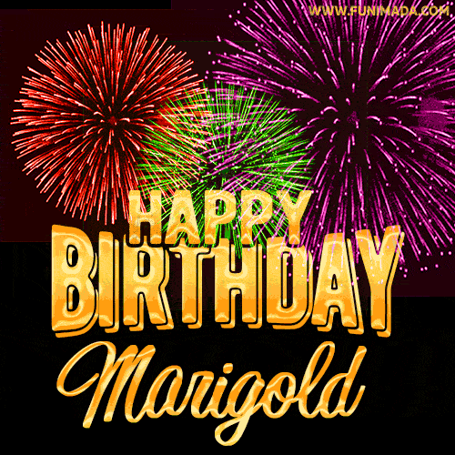 Wishing You A Happy Birthday, Marigold! Best fireworks GIF animated greeting card.