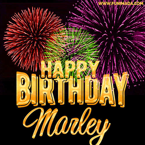 Wishing You A Happy Birthday, Marley! Best fireworks GIF animated greeting card.
