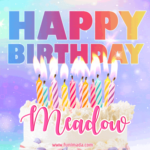 Animated Happy Birthday Cake with Name Meadow and Burning Candles