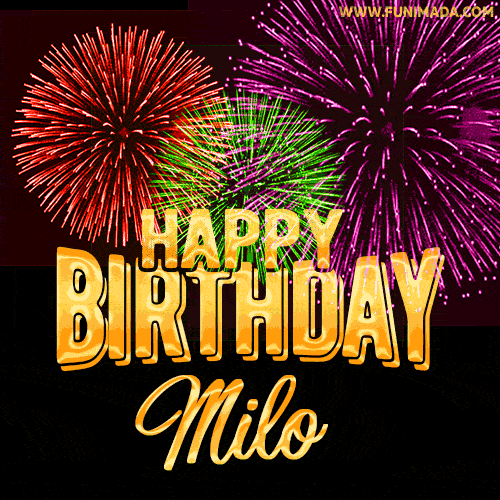 Wishing You A Happy Birthday, Milo! Best fireworks GIF animated greeting card.