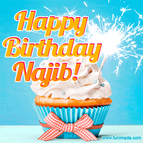 Happy Birthday, Najib! Elegant cupcake with a sparkler.