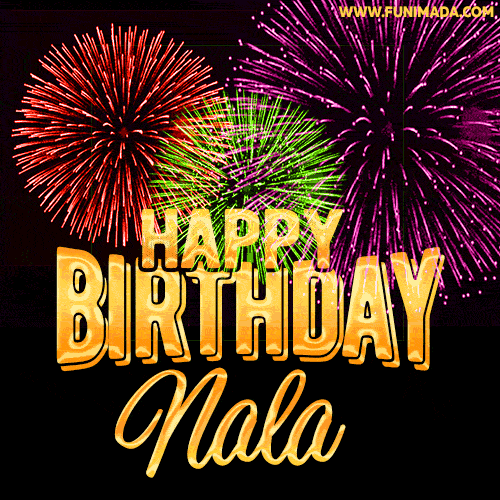 Wishing You A Happy Birthday, Nala! Best fireworks GIF animated greeting card.