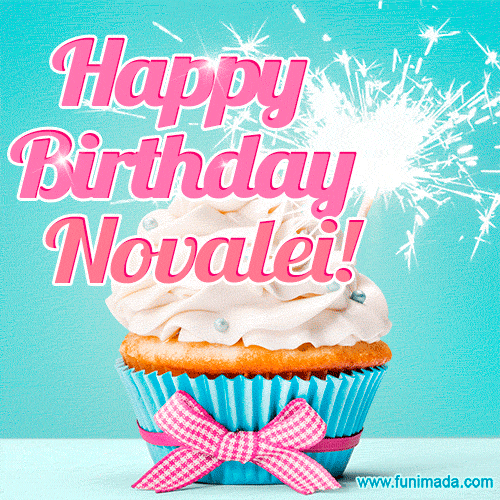 A festive cupcake with pink icing, a gingham bow, and a lit animated sparkler, paired with 'Happy Birthday Novalei!' in bright pink text.