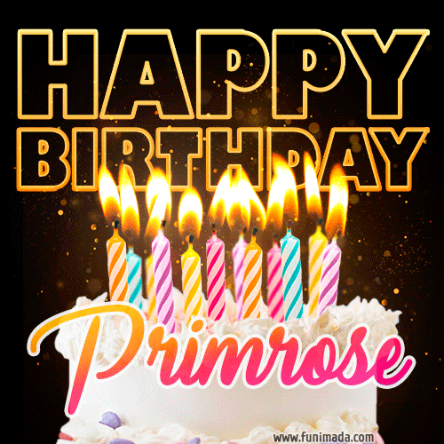 Primrose - Animated Happy Birthday Cake GIF Image for WhatsApp