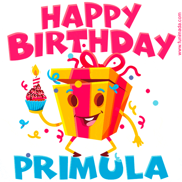 Funny Happy Birthday Primula GIF