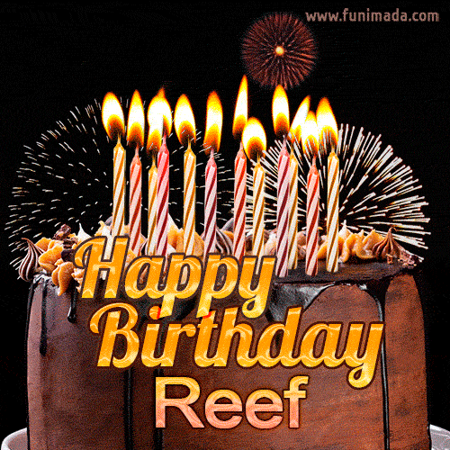 Chocolate Happy Birthday Cake for Reef (GIF)