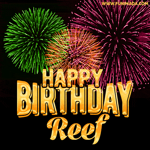 Wishing You A Happy Birthday, Reef! Best fireworks GIF animated greeting card.