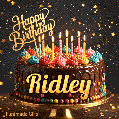 Multicolored frosting swirls and burning birthday candles on a chocolate cake with gold lettering spelling Ridley.