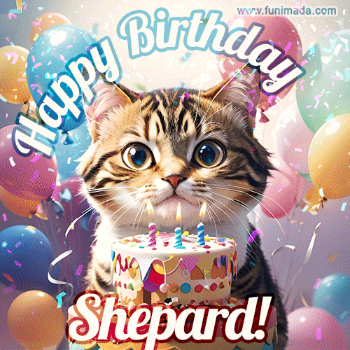 Happy birthday gif for Shepard with cat and cake