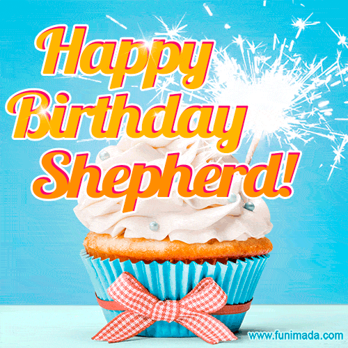 Happy Birthday, Shepherd! Elegant cupcake with a sparkler.