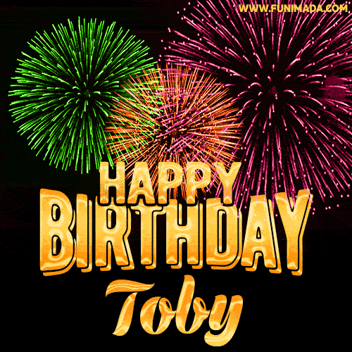 Wishing You A Happy Birthday, Toby! Best fireworks GIF animated greeting card.