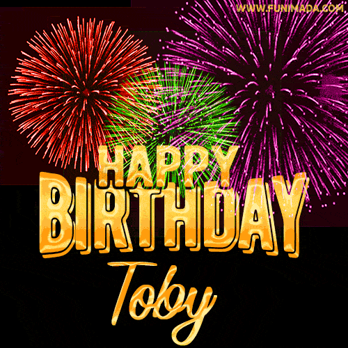 Wishing You A Happy Birthday, Toby! Best fireworks GIF animated greeting card.