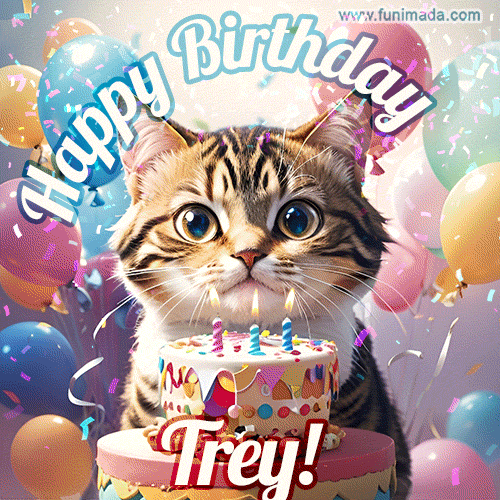 Happy birthday gif for Trey with cat and cake