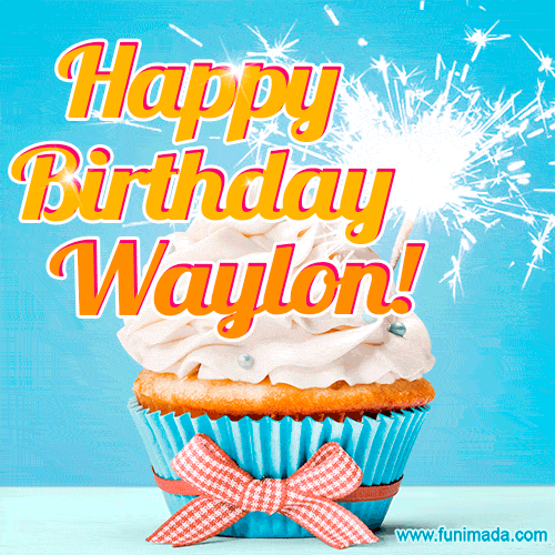 Happy Birthday, Waylon! Elegant cupcake with a sparkler.